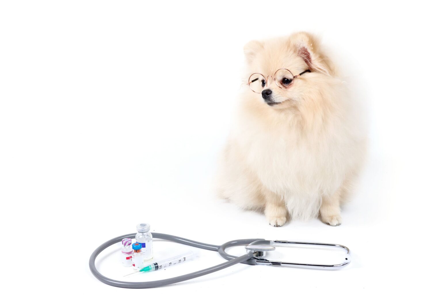 Hypothyroidism and Cushing's Disease in Dogs South Seminole Animal Hospital South Seminole